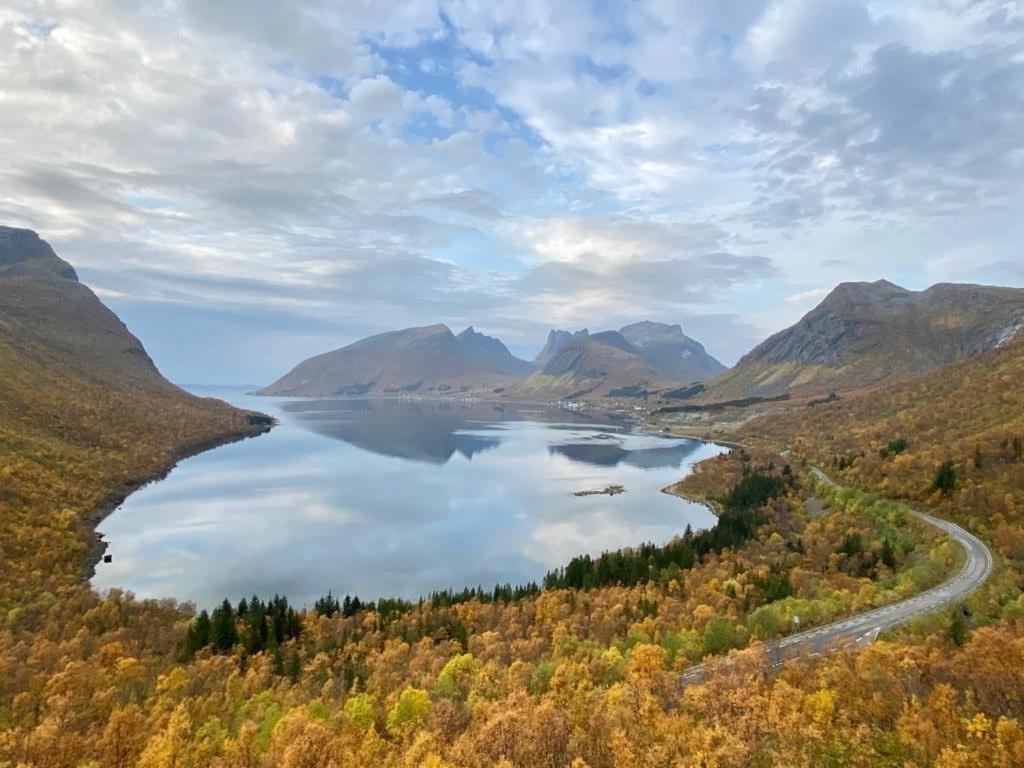 Ferrytale, Cozy, Spacious House On Senja Gryllefjord 외부 사진