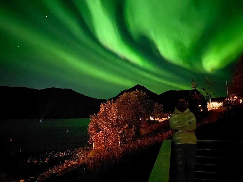 Ferrytale, Cozy, Spacious House On Senja Gryllefjord 외부 사진