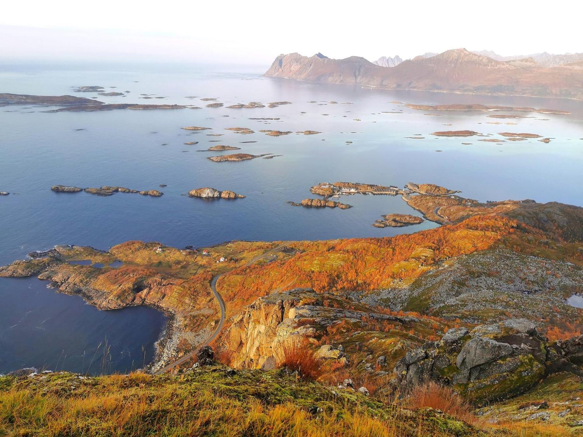 Ferrytale, Cozy, Spacious House On Senja Gryllefjord 외부 사진