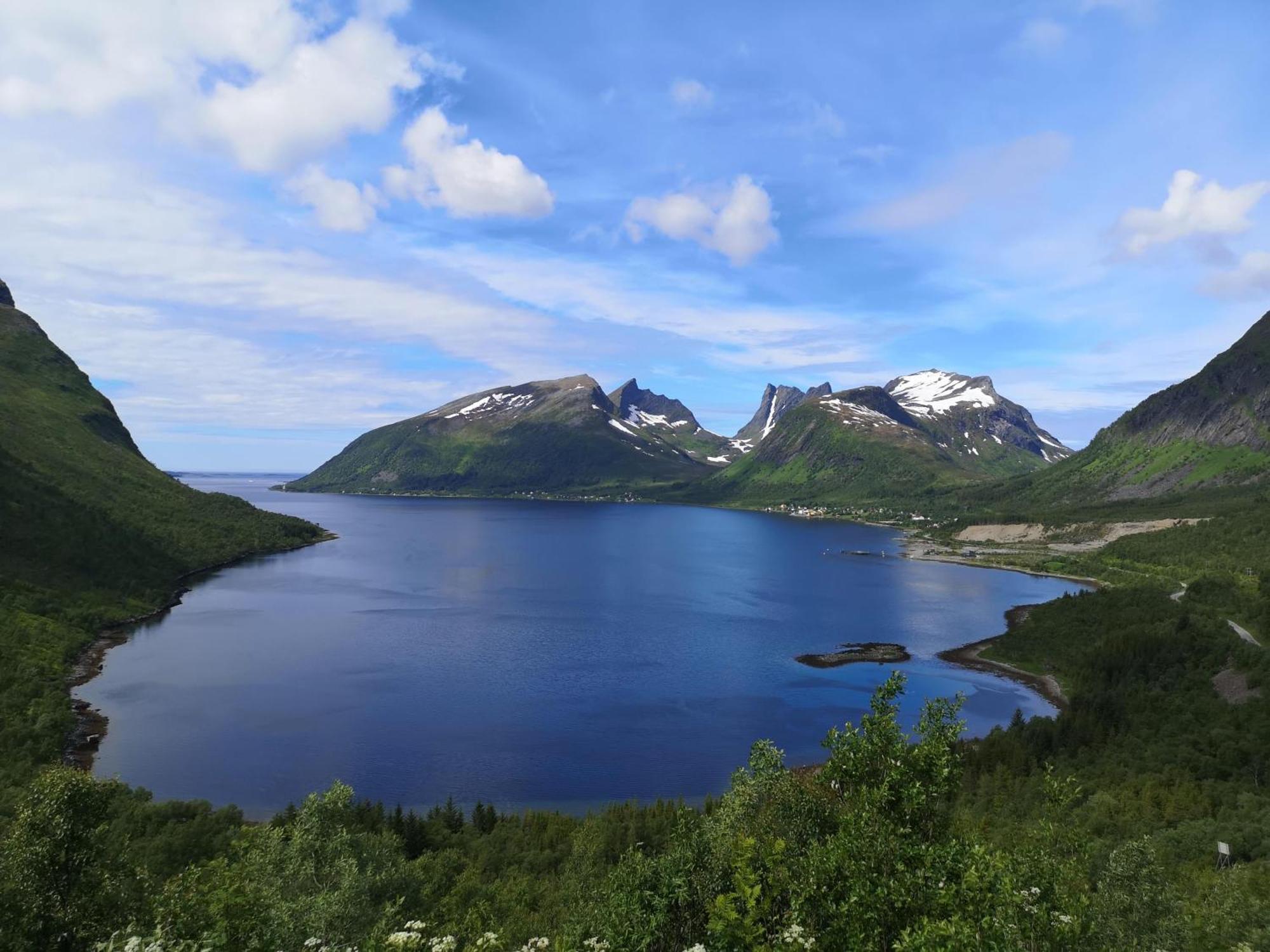 Ferrytale, Cozy, Spacious House On Senja Gryllefjord 외부 사진