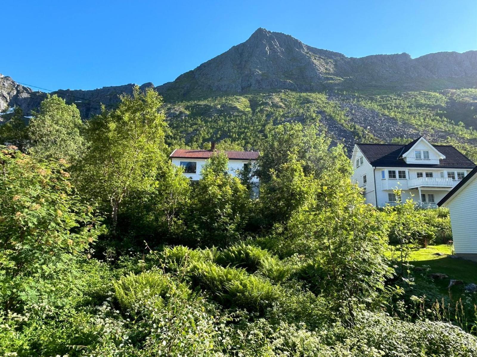 Ferrytale, Cozy, Spacious House On Senja Gryllefjord 외부 사진